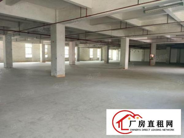  大朗富民大道旁可办环评，空地大配套设施齐全