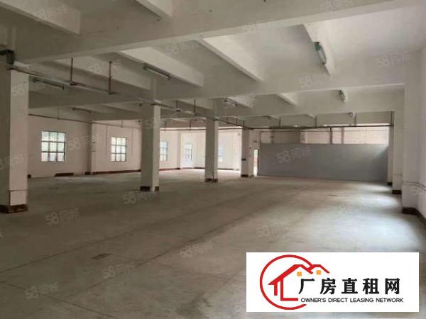  大朗空出标准厂房一楼1350平方出租，水电齐全，超大空地！