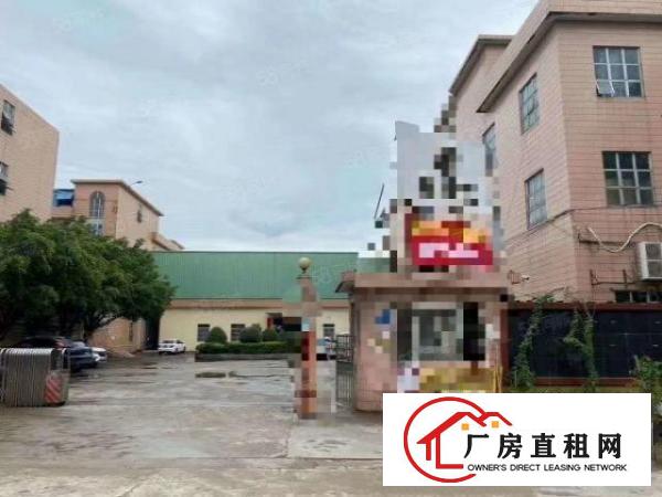  大朗空出标准厂房一楼1350平方出租，水电齐全，超大空地！