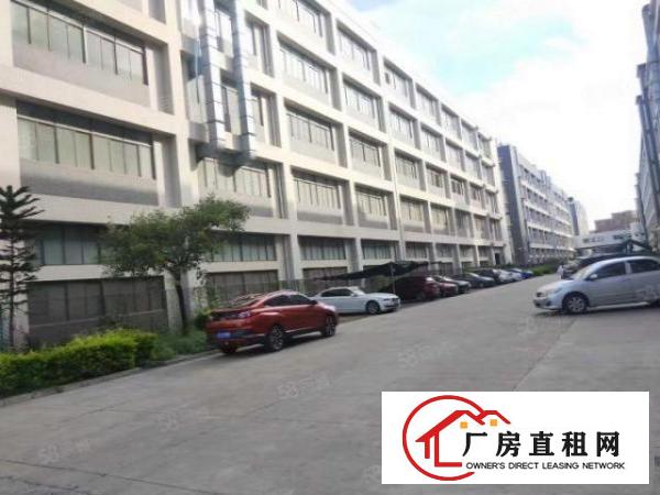  大朗高英标准厂房全新地坪漆7560平出租可做无尘车间
