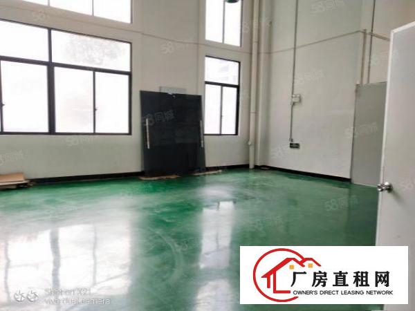  大朗高英标准厂房全新地坪漆7560平出租可做无尘车间
