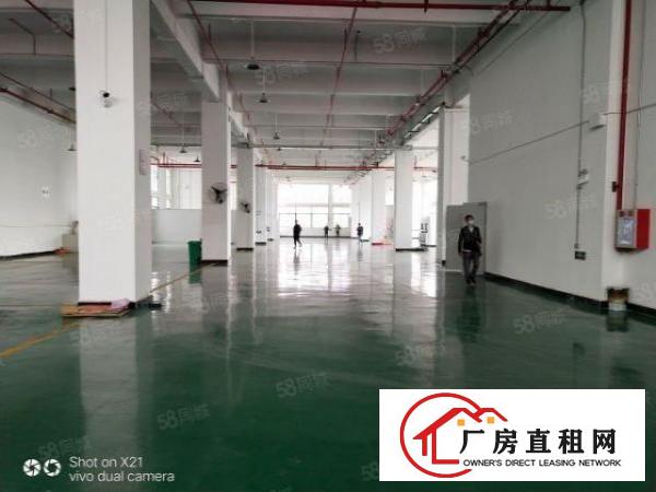  大朗高英标准厂房全新地坪漆7560平出租可做无尘车间
