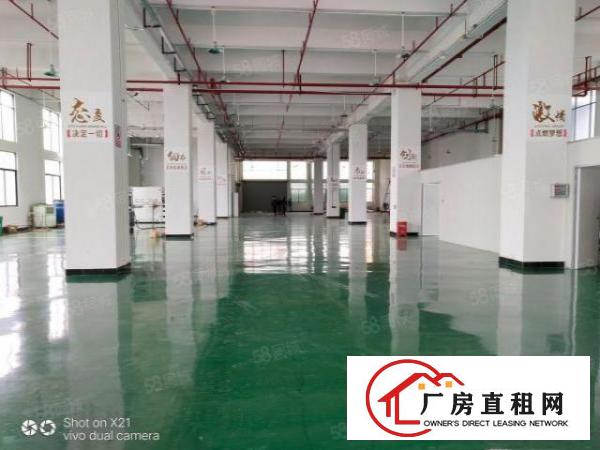  大朗高英标准厂房全新地坪漆7560平出租可做无尘车间