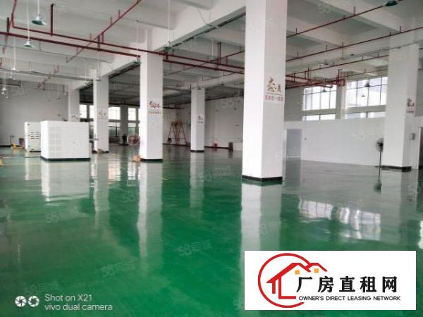  大朗高英标准厂房全新地坪漆7560平出租可做无尘车间