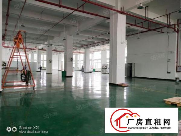  大朗高英标准厂房全新地坪漆7560平出租可做无尘车间
