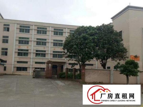  大朗象山工业城新出原房东独院标准厂房5000平出租，水电齐全