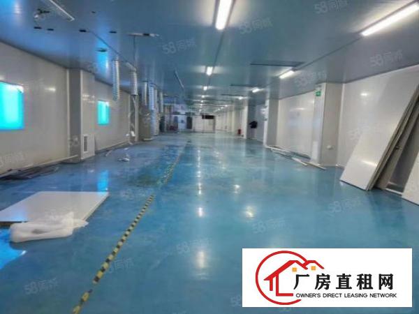  大朗象山工业城新出原房东独院标准厂房5000平出租，水电齐全