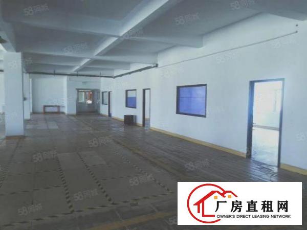  大朗沙步原房东独院工业厂房宿舍共六千平米出租