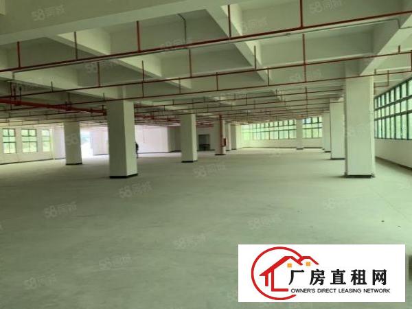  大朗镇原房东重工业CNC厂区带红本消防验收合格可分租办环评
