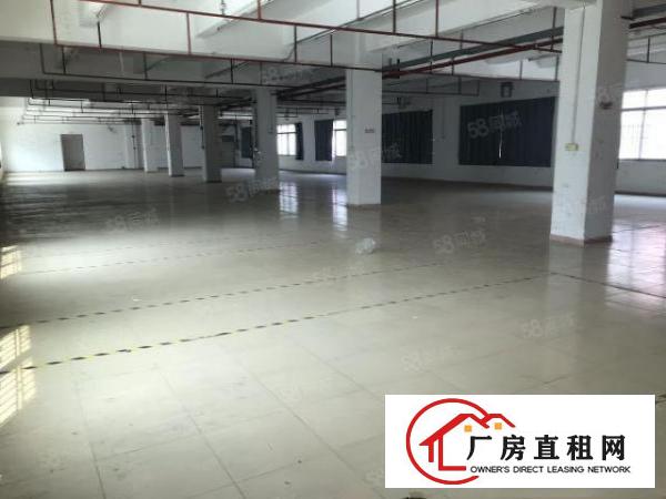  大朗沙步独栋原房东标准厂房二楼520平出租
