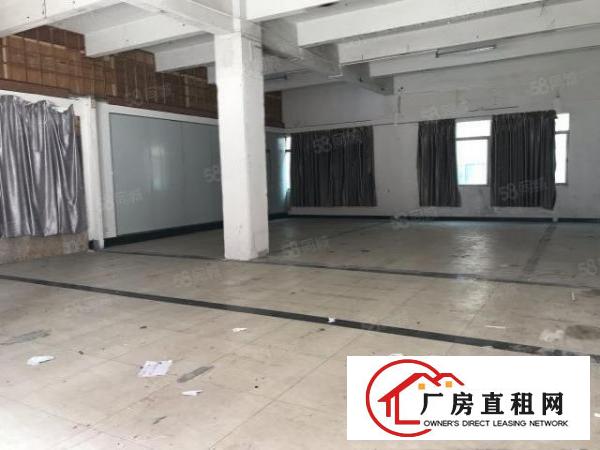  大朗沙步独栋原房东标准厂房二楼520平出租