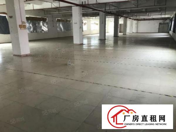 大朗沙步独栋原房东标准厂房二楼520平出租