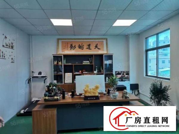 大朗新马莲800平11块全包厂房实际面积精装修原房东精装