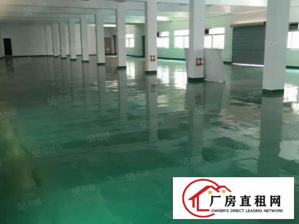  大朗新马莲800平11块全包厂房实际面积精装修原房东精装