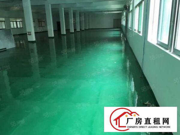  大朗新马莲800平11块全包厂房实际面积精装修原房东精装