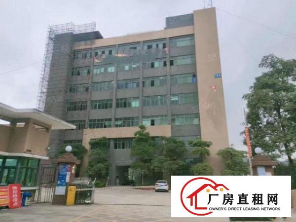  大朗新马莲800平11块全包厂房实际面积精装修原房东精装