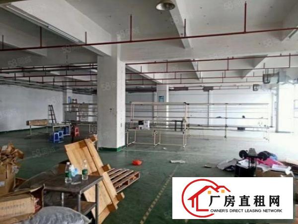  大朗松柏朗工业园厂房分租标准一楼楼上1500平带消防喷淋出租