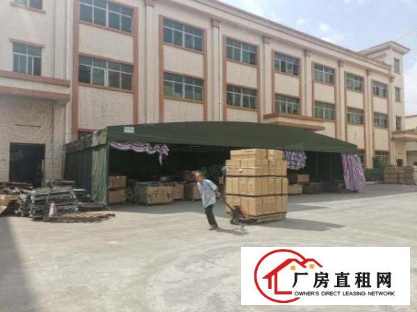  东莞市大朗镇洋坑塘村原房东独院9000平方厂房出租