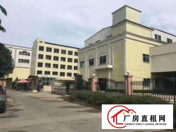  大朗工业厂房2层标准厂房，实际面积出租16块，空地大影响好