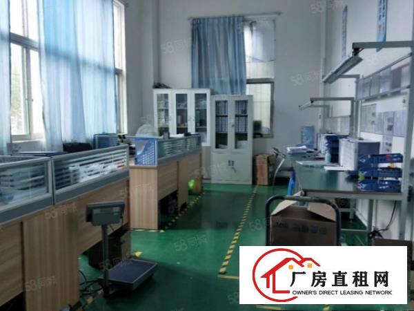  大朗原房东自用厂房分租一二楼1000平方可做五金模具设备