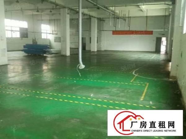  大朗杨涌工业区88号即将空出一二楼厂房，每层800平，可分租