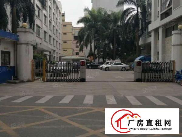  大朗新马莲带办公室，可办环评，空地大