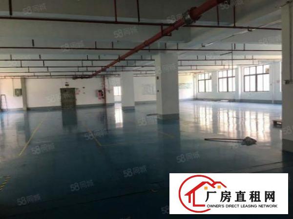  大朗新马莲带办公室，可办环评，空地大