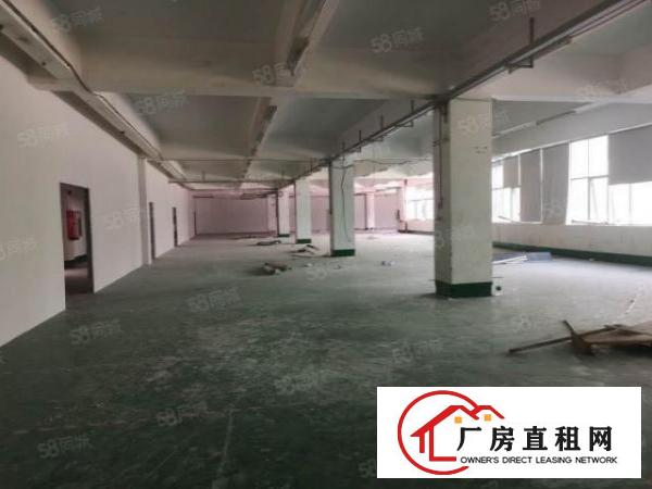  大朗新马莲带办公室，可办环评，空地大