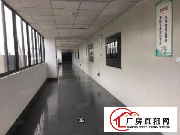  大朗蔡边新出楼上680平米单一层厂房出租