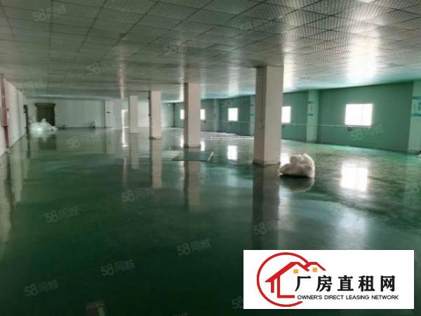  大井头工业区新出原房东楼上2000平精装修厂房，三吨货梯