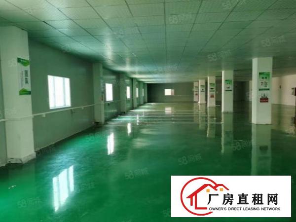  大井头工业区新出原房东楼上2000平精装修厂房，三吨货梯