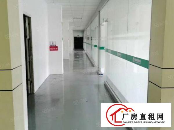  大井头工业区新出原房东楼上2000平精装修厂房，三吨货梯