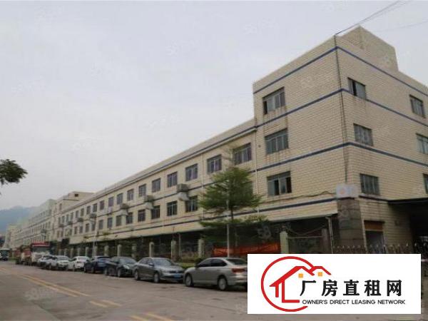  免租期3个月大朗标准厂房楼上800平单价14元带办公室
