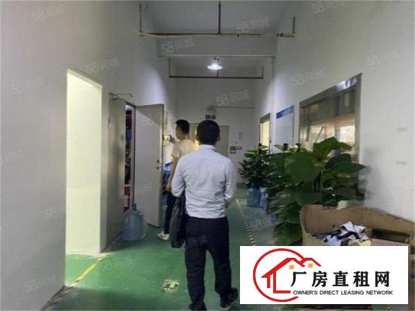  免租期3个月大朗标准厂房楼上800平单价14元带办公室