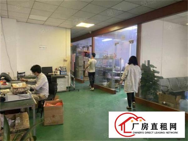  免租期3个月大朗标准厂房楼上800平单价14元带办公室