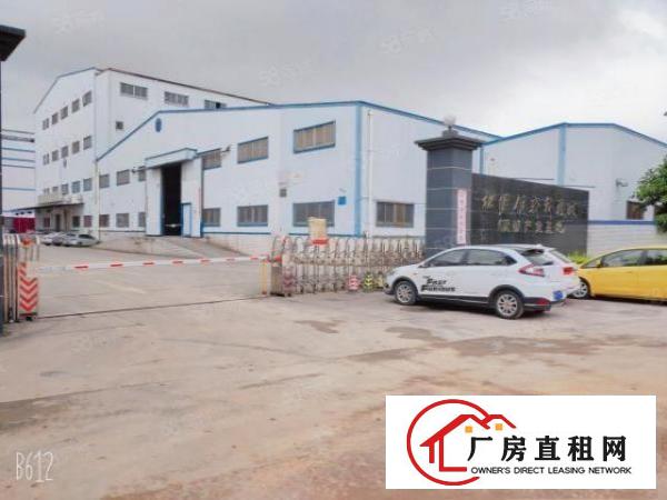  出租大朗红本厂房6008001000平新地坪漆可办环