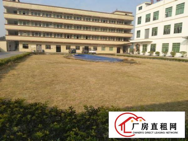  大朗原房东超大空地厂房8500平方米出租，送装修