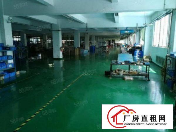  大朗原房东超大空地厂房8500平方米出租，送装修