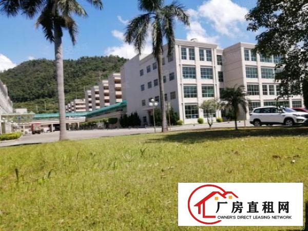  松山湖片区带现成无尘式车间装修厂房2000至18万方出租