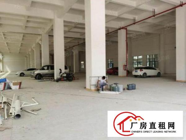  无公摊大朗蔡边独栋一楼380平方厂房生活交通都方便