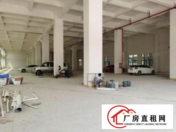  无公摊大朗蔡边独栋一楼380平方厂房生活交通都方便