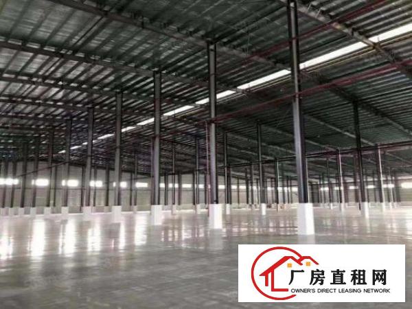  原房东大型物流园厂房滴水11米带卸货平台超大空地可分租
