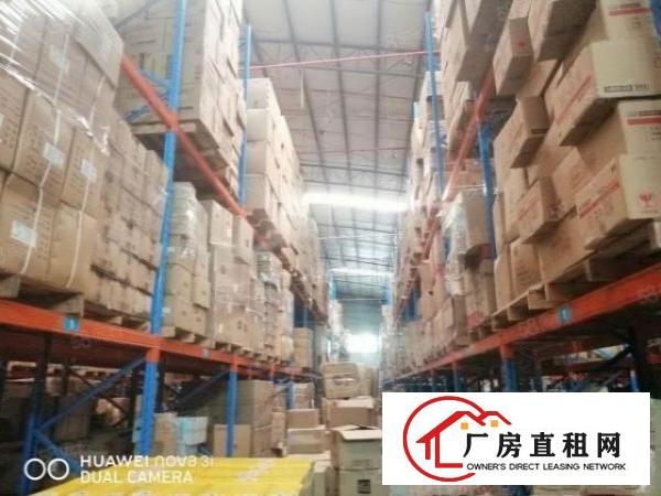  原房东大型物流园厂房滴水11米带卸货平台超大空地可分租