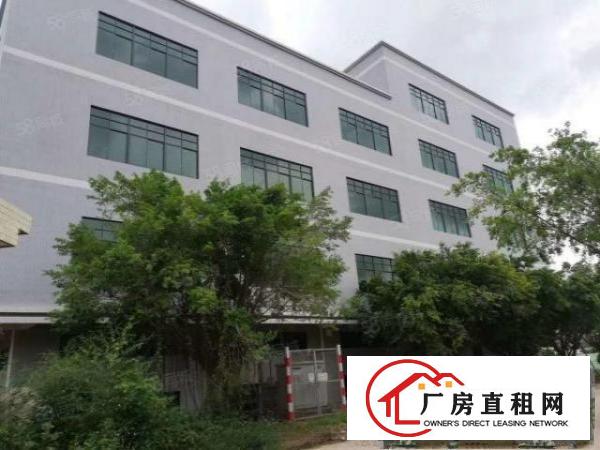  可办环评，大朗全新独栋标准厂房9000平，1楼7米高，可分租