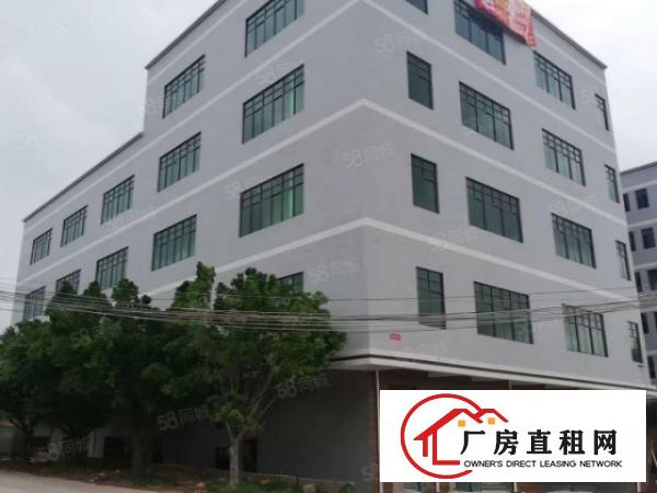  可办环评，大朗全新独栋标准厂房9000平，1楼7米高，可分租