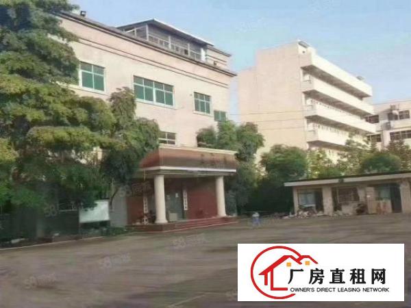  大朗镇新出原房东形象高大上禅修营独院厂房