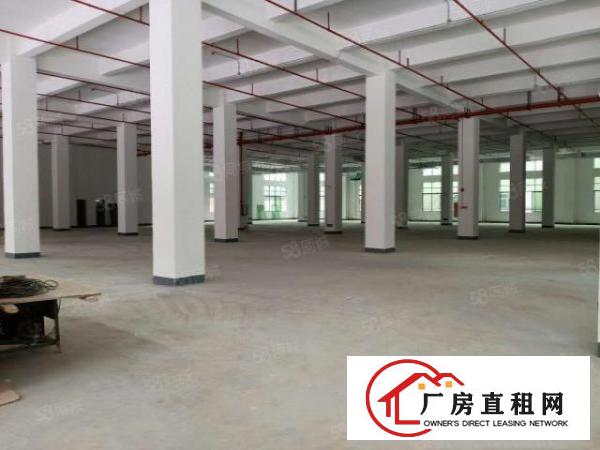  大朗靠黄江新出独院12000平米办公室精装修欢迎来电咨询