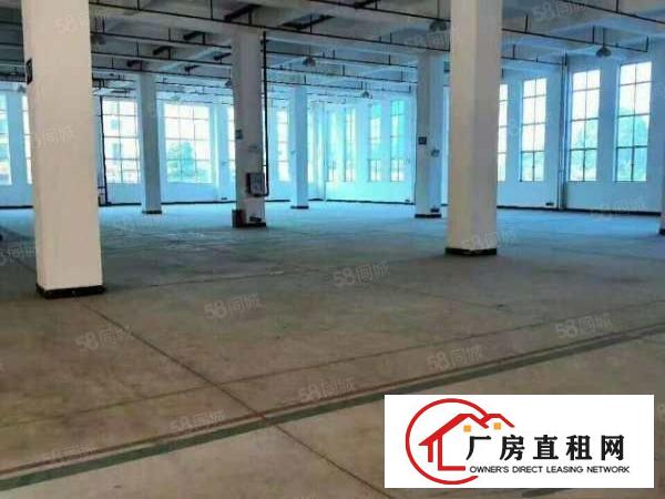  大朗靠黄江新出独院12000平米办公室精装修欢迎来电咨询
