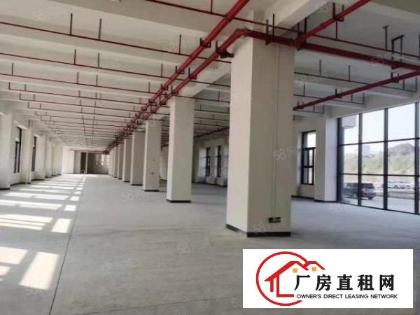  大朗靠黄江新出独院12000平米办公室精装修欢迎来电咨询