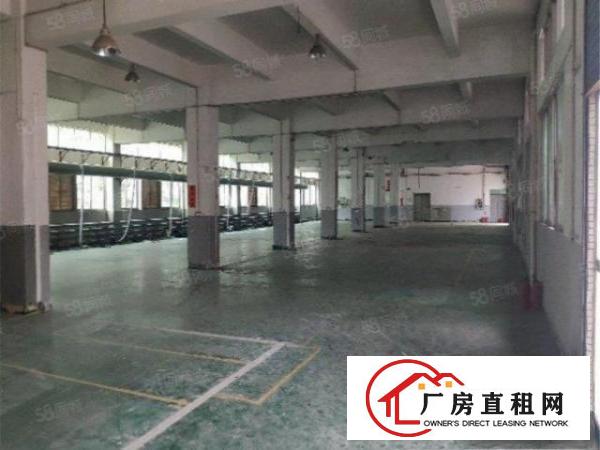  大朗富民工业城新出厂房1150平带电梯带办公室空地大
